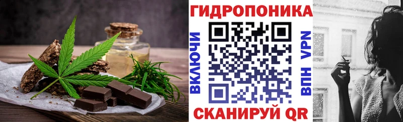 закладка  Торопец  mega ТОР  Canna-Cookies конопля 
