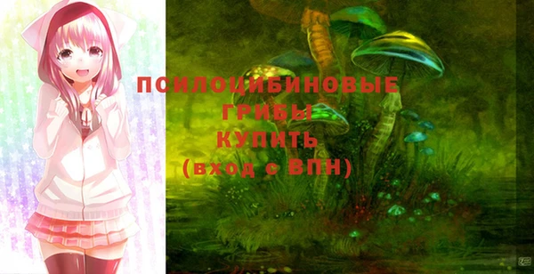 стафф Беломорск