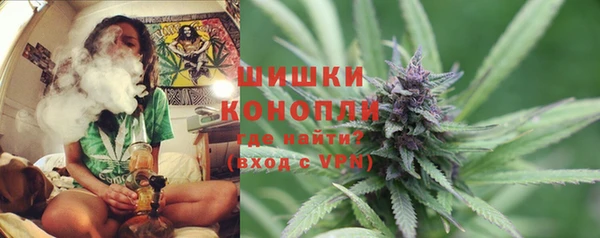 ALPHA PVP Белокуриха