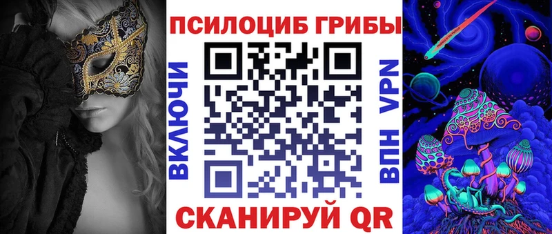 нарко площадка Telegram  Торопец  Галлюциногенные грибы GOLDEN TEACHER  где продают наркотики  мега ONION 